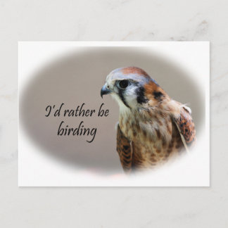 I'd Rather Be Birding Postcard
