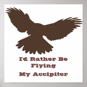 I'd Rather be Flying Poster