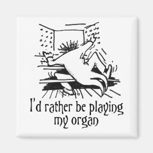 I'd rather be playing my organ magnet
