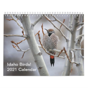 Idaho Birds! 2021 Calendar