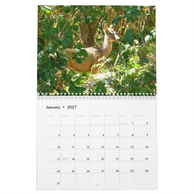 Idaho Calendar (Jan 2027)