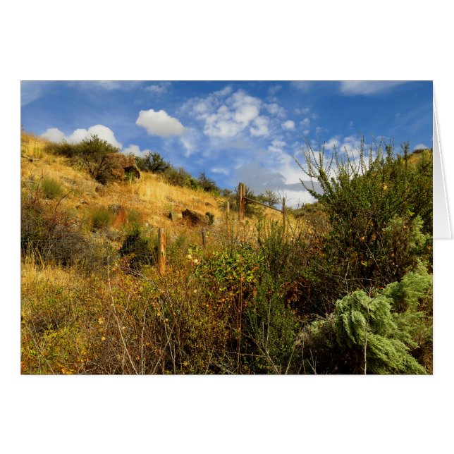 Idaho Desert (Front Horizontal)