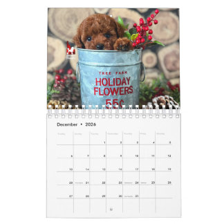 Idaho Jewels Poodles | 2026 Calendar