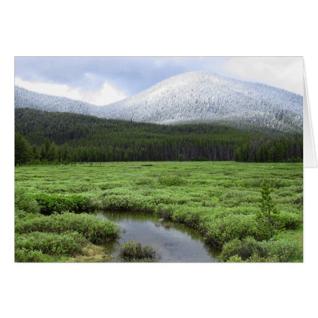 Idaho Mountain Snowfall (Front Horizontal)