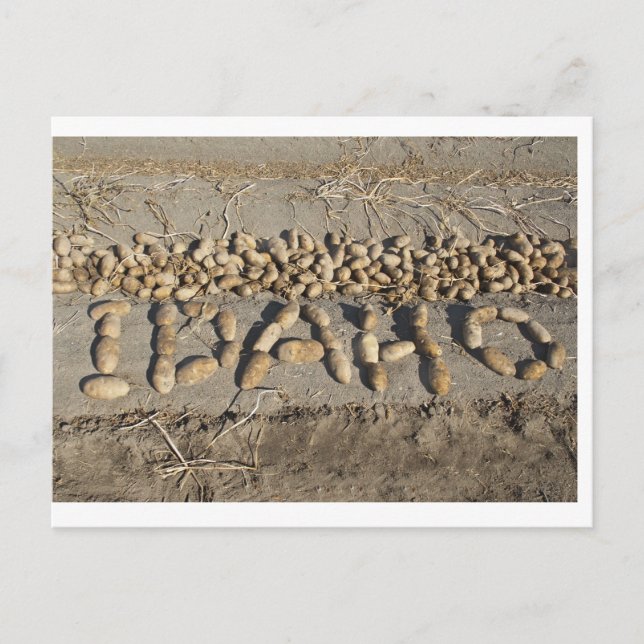 Idaho Potatoes Postcard (Front)