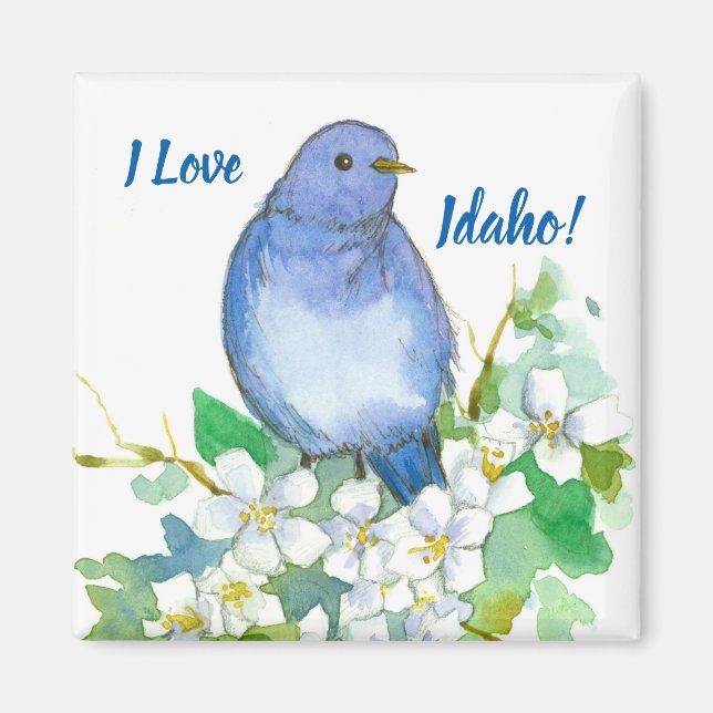 Idaho Souvenir Mountain Bluebird Syringa Magnet (Front)