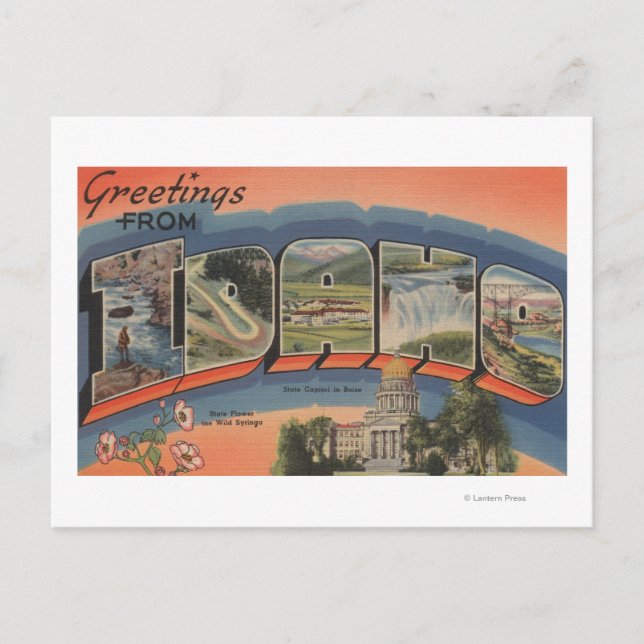 Idaho (State Capital/Flower) - Large Letter Postcard (Front)