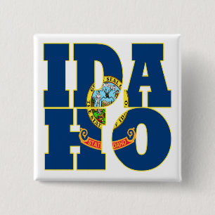 Idaho state flag text 15 cm square badge