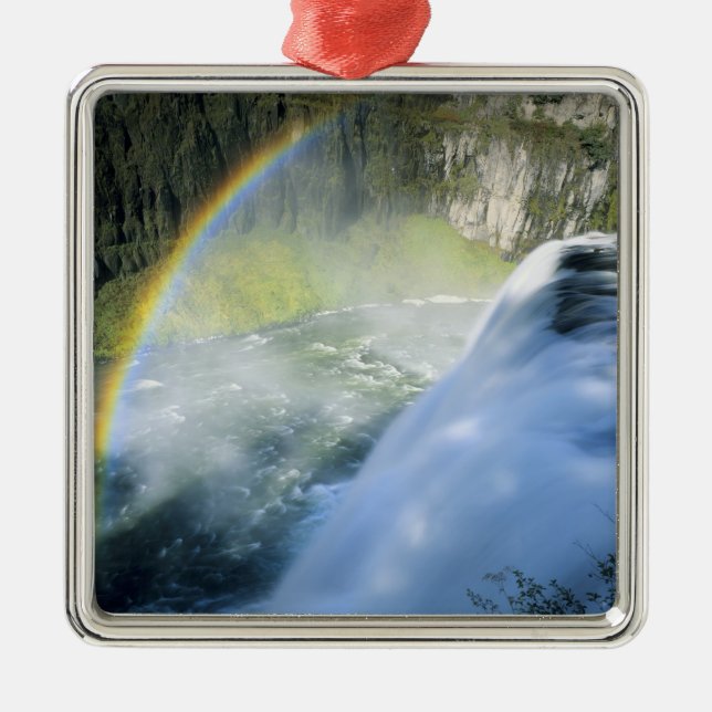 Idaho. USA. Rainbow in spray above Upper Mesa Metal Tree Decoration (Front)