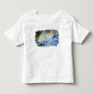 Idaho. USA. Rainbow in spray above Upper Mesa Toddler T-Shirt