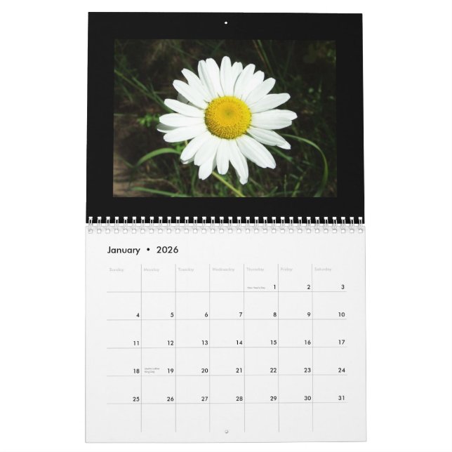 Idaho Wildflower Calendar (Jan 2026)
