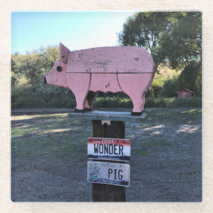 Idaho Wonder Pig, Funny Glass Coaster