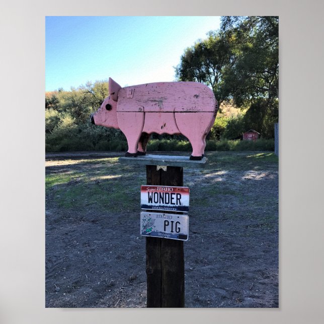 Idaho Wonder Pig, Funny Poster (Front)