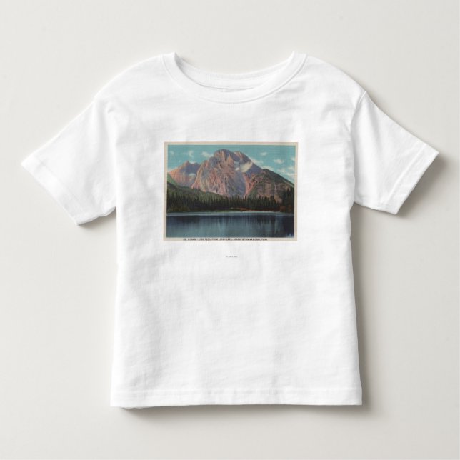 IdahoView of Mt. Moran from Leigh LakeIdaho Toddler T-Shirt (Front)