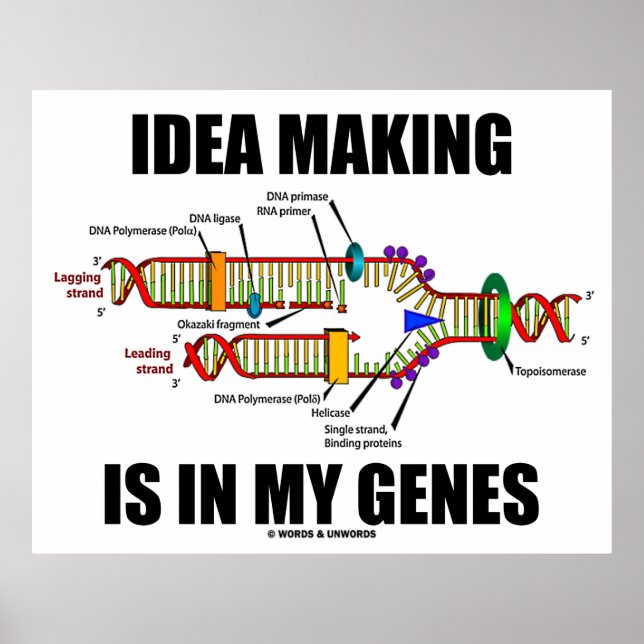 Idea Making Is In My Genes (DNA Replication) Poster (Front)