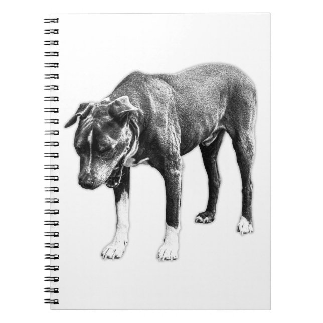 Ideas Before Coffee – Canine Study Notebook (Front)