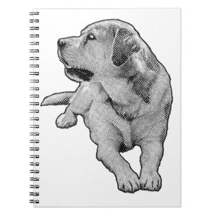 Ideas in Tiny Tones Notebook