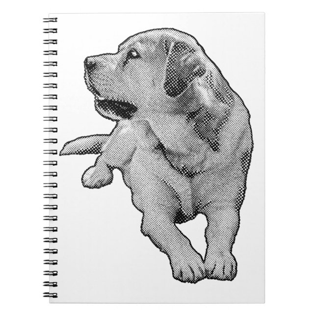 Ideas in Tiny Tones Notebook (Front)