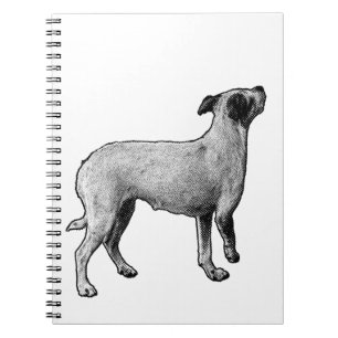 Ideas Looking Up Notebook