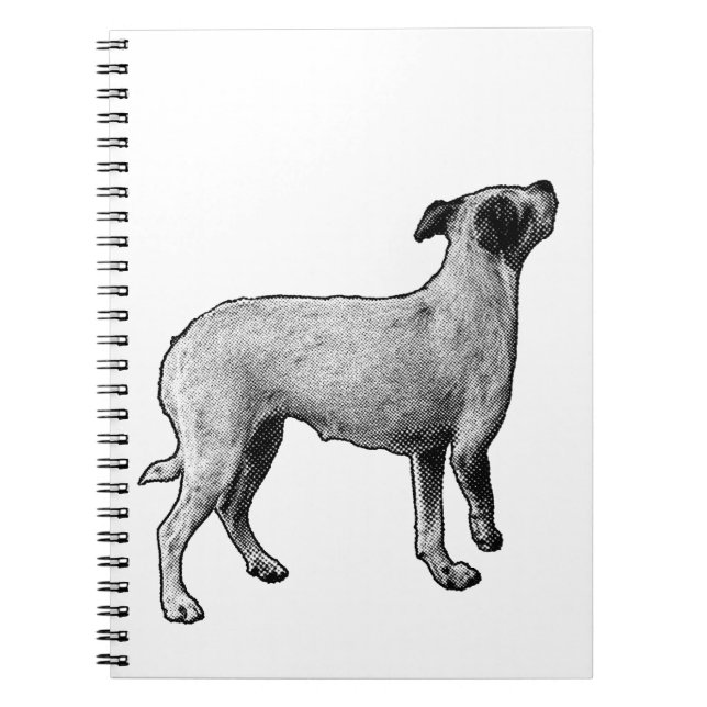 Ideas Looking Up Notebook (Front)