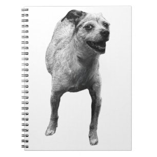 Ideas With A Wag Notebook