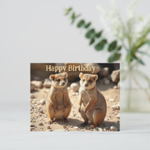 Identical Brothers: Australian Quokka Twins, Postcard