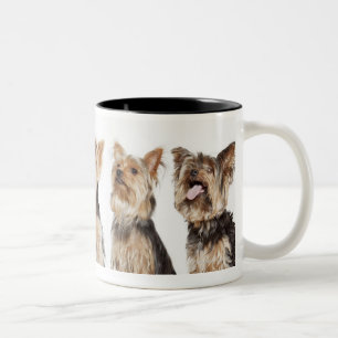 Identical dogs sitting together Two-Tone coffee mug