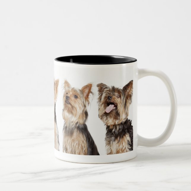 Identical dogs sitting together Two-Tone coffee mug (Right)