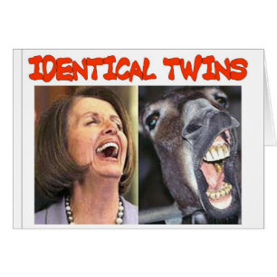 IDENTICAL TWINS