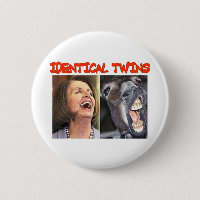 IDENTICAL TWINS