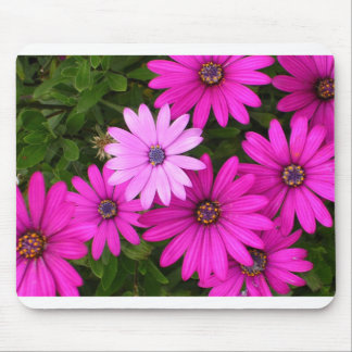 Identity (mousepad) mouse pad