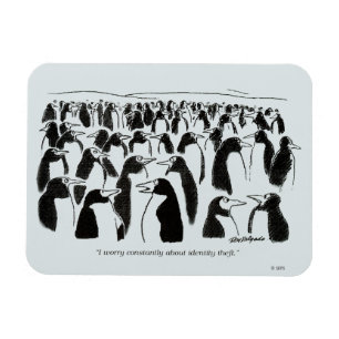 Identity Theft Magnet