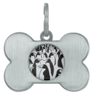 Identity Theft Pet ID Tag