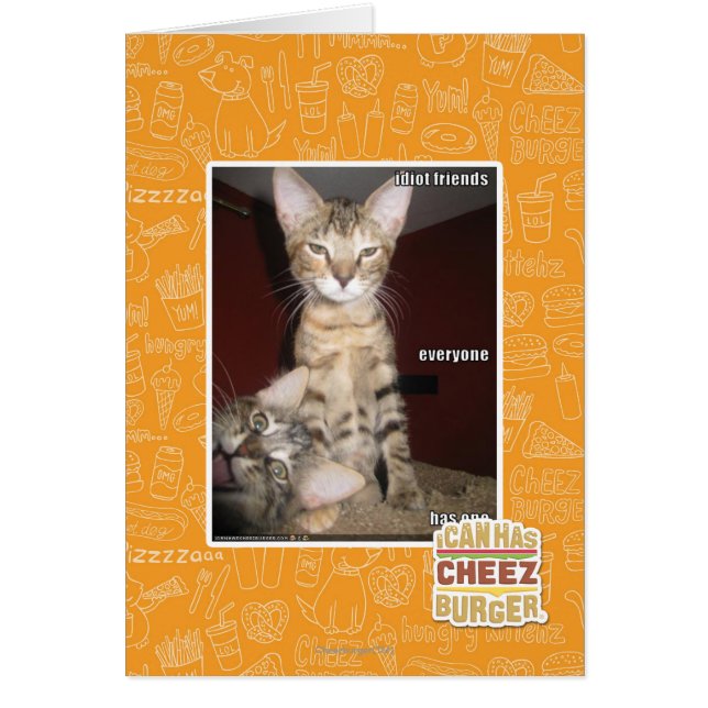 Idiot Friends (Front)