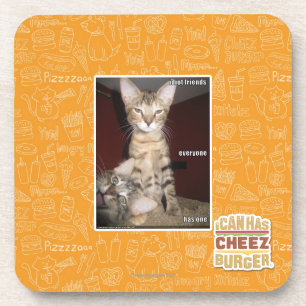 Idiot Friends Coaster