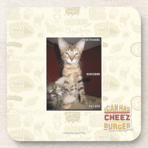 Idiot Friends Coaster