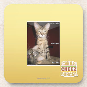 Idiot Friends Coaster