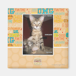 Idiot Friends Magnet