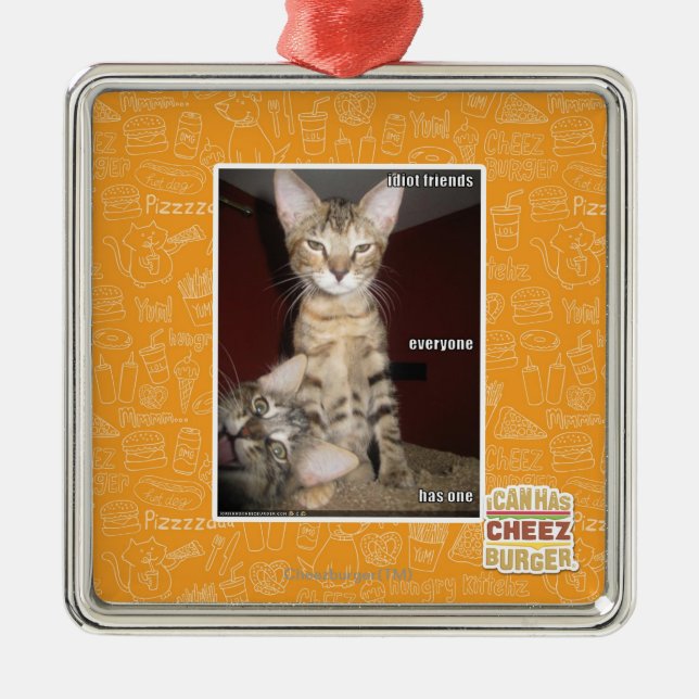 Idiot Friends Metal Ornament (Front)