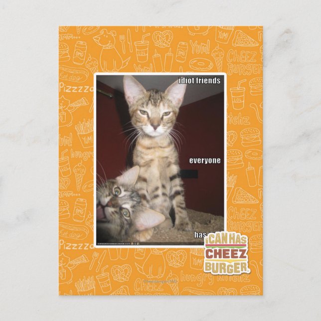 Idiot Friends Postcard (Front)