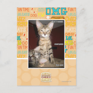 Idiot Friends Postcard