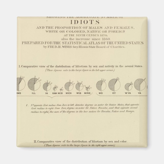 Idiots, Statistical US Lithograph 1870 Magnet (Front)