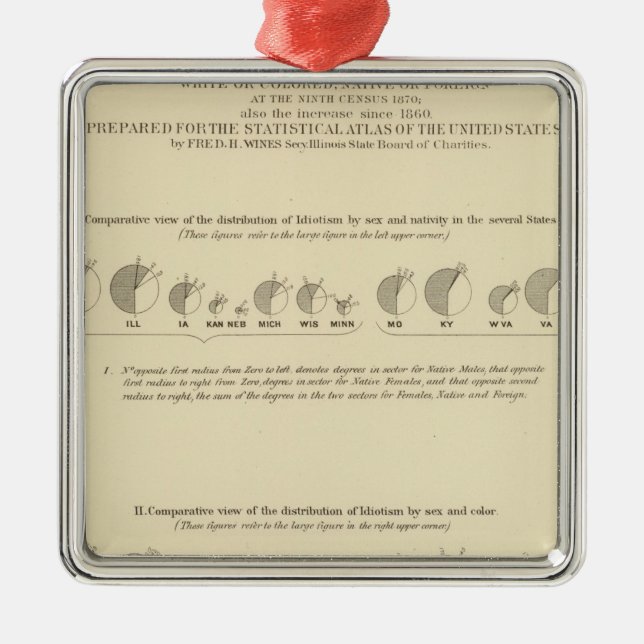 Idiots, Statistical US Lithograph 1870 Metal Ornament (Front)