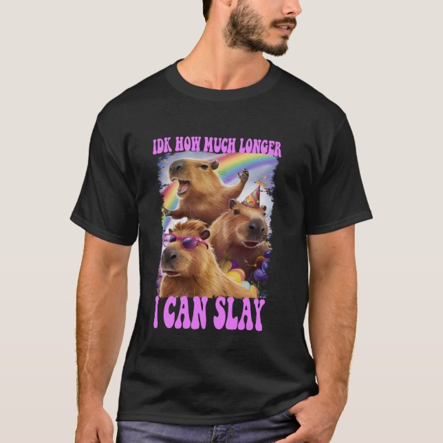 Idk How Much Longer I Can Slay Capybara Funny Meme T-Shirt (Front)