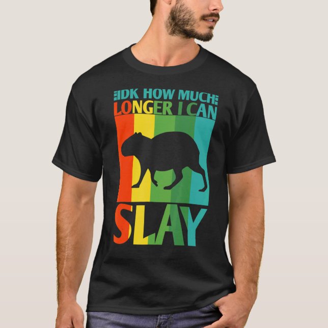 Idk How Much Longer I Can Slay  Capybara Meme Vint T-Shirt (Front)