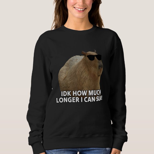 Idk How Much Longer I Can Slay Capybara Sarcastic  Sweatshirt (Front)