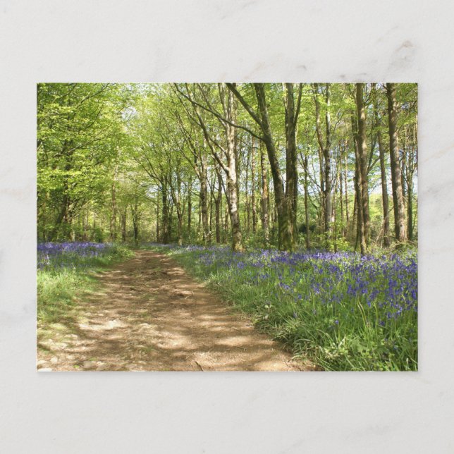 Idless Woods Postcard (Front)