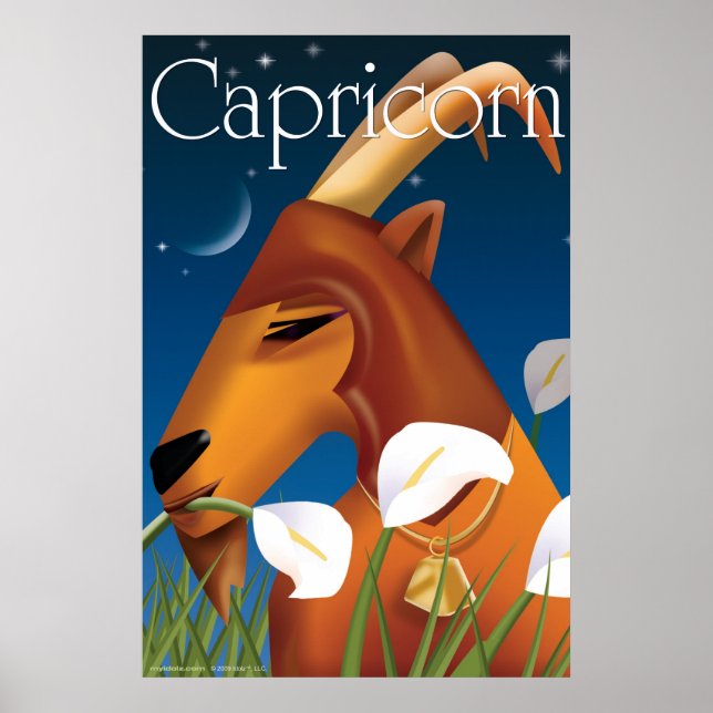 Idolz Capricorn  Poster (Front)
