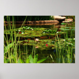 Idyllic Afternoon Poster