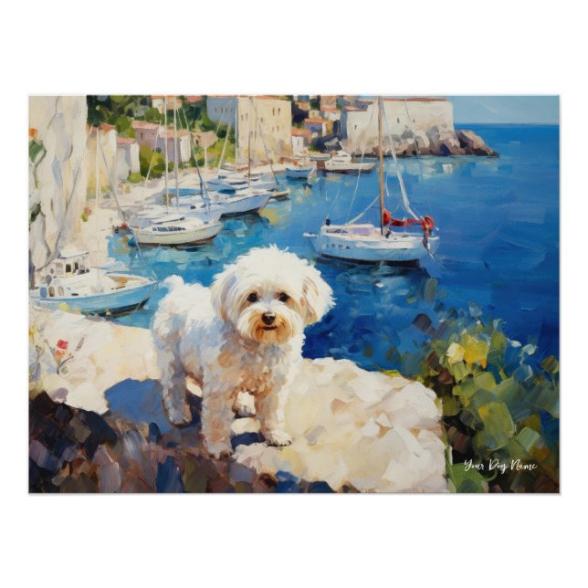 Idyllic Mediterranean town, Maltese Dog 01 - Gamba Poster (Front)